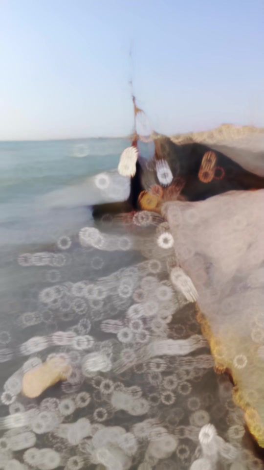 TikTok video thumbnail by sultan30626a