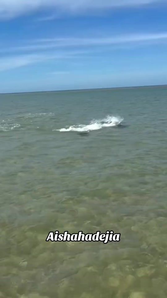 TikTok video thumbnail by aishahadejia3