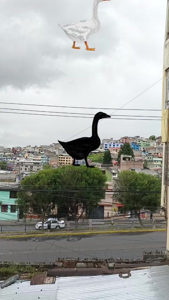 TikTok video thumbnail by byroncastro08