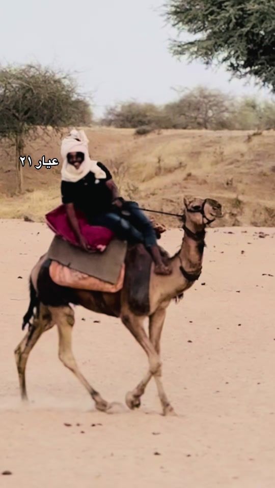 TikTok video thumbnail by mh.r308