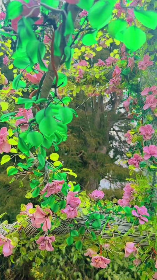 TikTok video thumbnail by sudarshika516