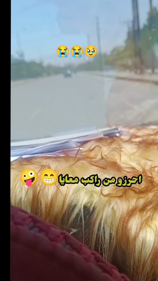 TikTok video thumbnail by ktjfn12