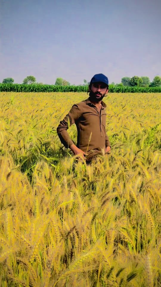 TikTok video thumbnail by mrwattoo425