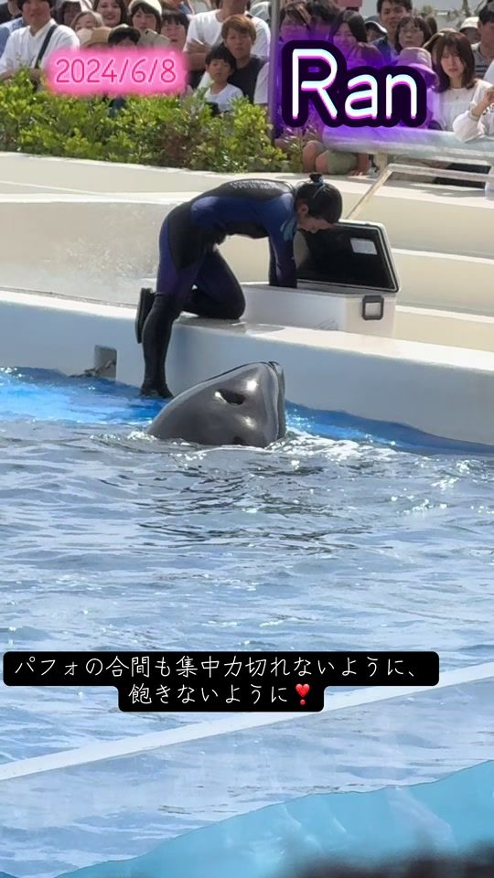 TikTok video thumbnail by kei_orca0115