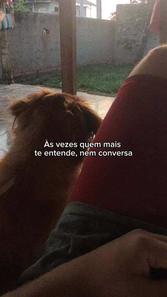 TikTok video thumbnail by xgabriellr