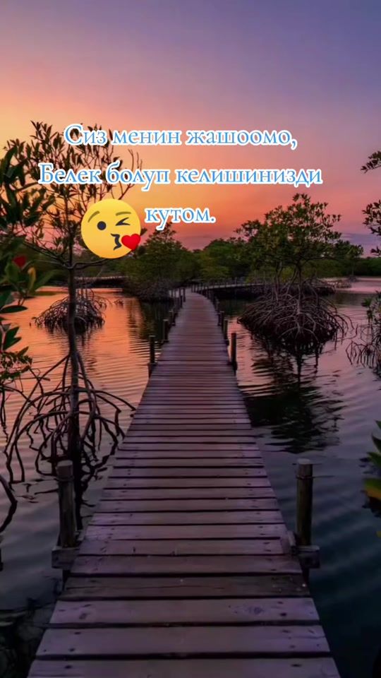 TikTok video thumbnail by user1759014625563
