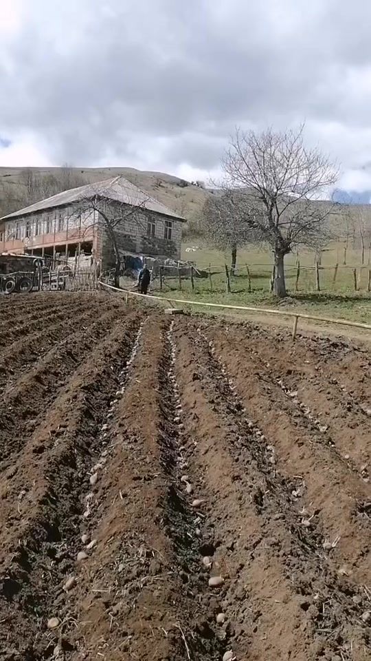 TikTok video thumbnail by arzu.tovuz.060