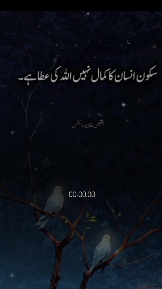TikTok video thumbnail by alishba997