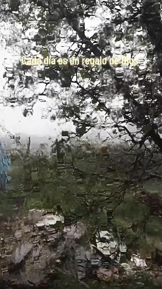 TikTok video thumbnail by sole_tcn