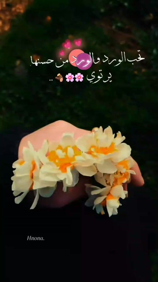 TikTok video thumbnail by user97760723005271