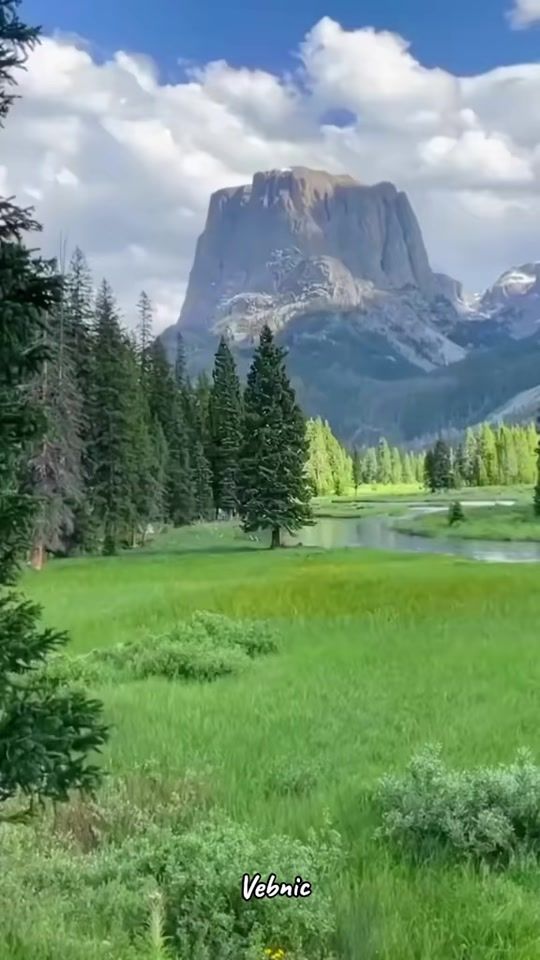 TikTok video thumbnail by vebnic