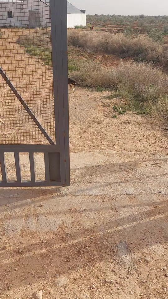 TikTok video thumbnail by rami.loki