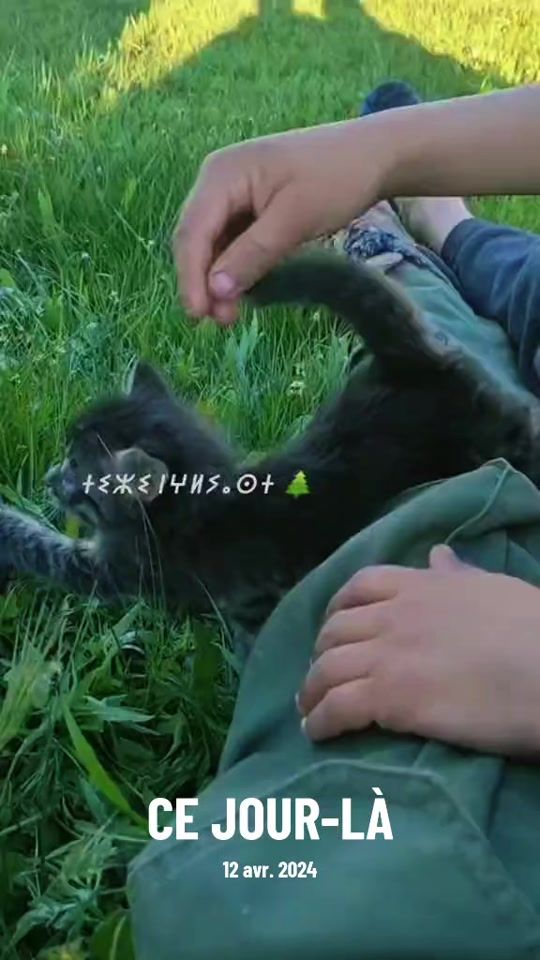 TikTok video thumbnail by thizi.nghryassth