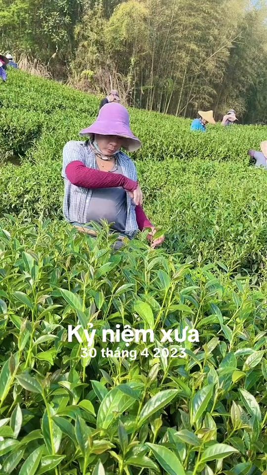 TikTok video thumbnail by ba.b.sa..con.ch.c