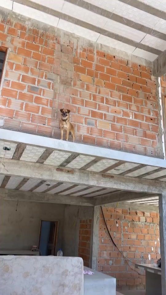 TikTok video thumbnail by marcoslacerda02
