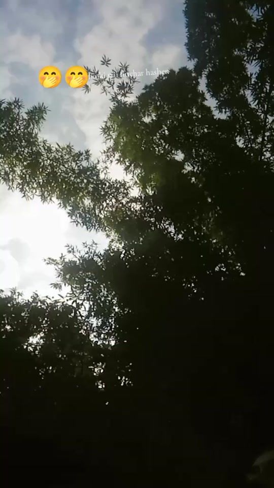 TikTok video thumbnail by xettrini402