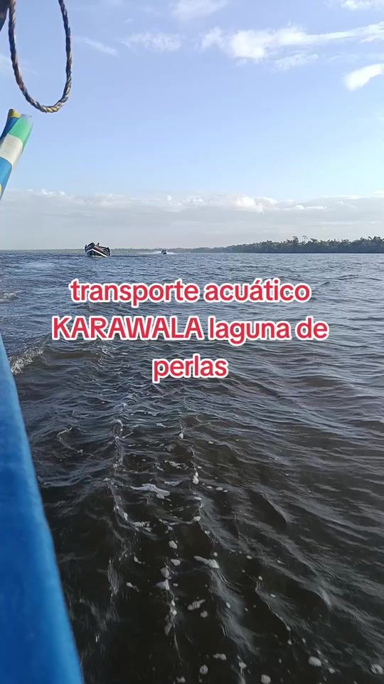 TikTok video thumbnail by saunisulany