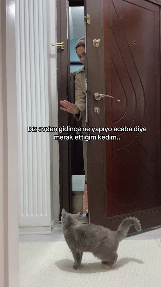 TikTok video thumbnail by tuce_60