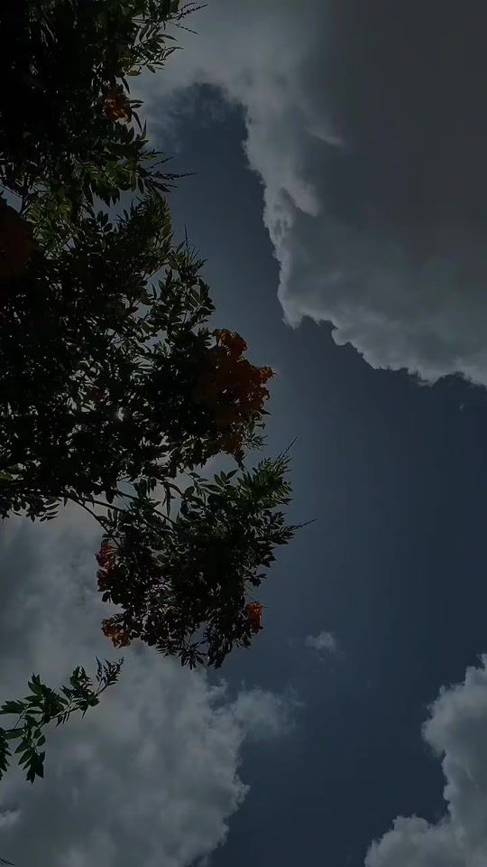 TikTok video thumbnail by ingrys_carrascal