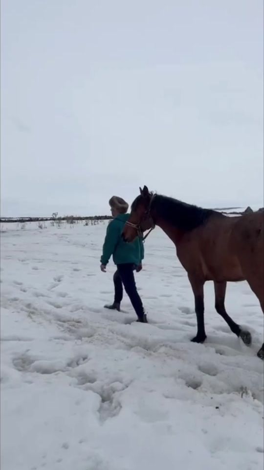 TikTok video thumbnail by gkhan.gndzalp