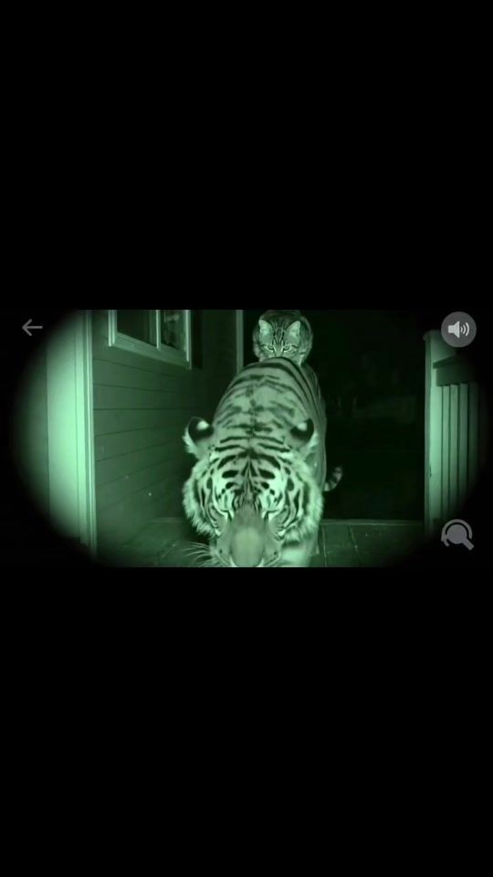 TikTok video thumbnail by awii103