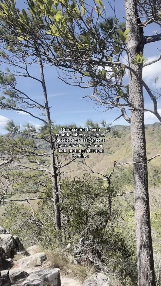 TikTok video thumbnail by xz__pau