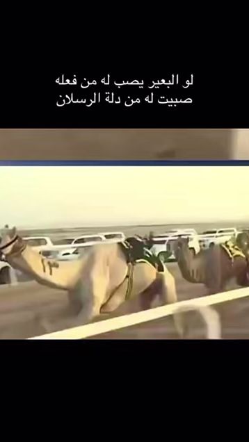 TikTok video thumbnail by hxwm2