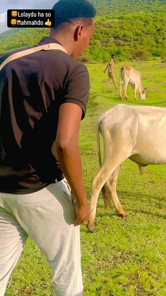 TikTok video thumbnail by dacad257