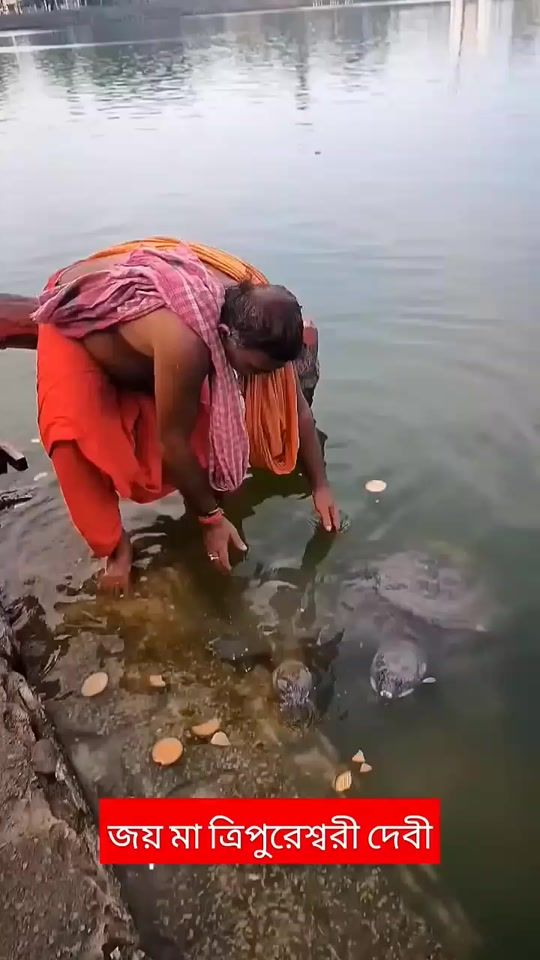 TikTok video thumbnail by sanatanisuvo420