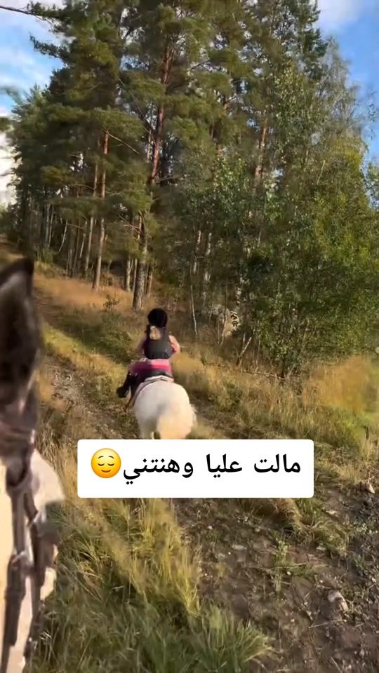 TikTok video thumbnail by rida_almisri