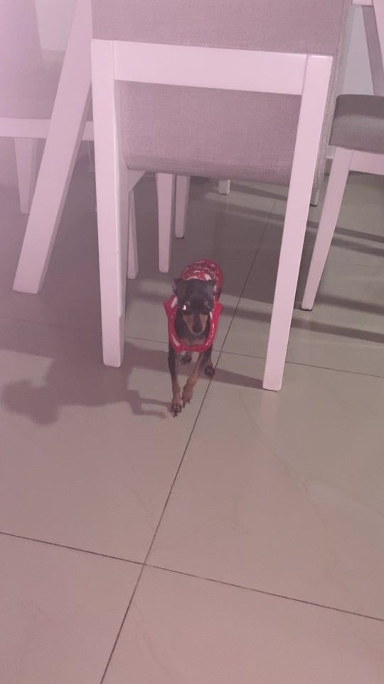 TikTok video thumbnail by malug.70