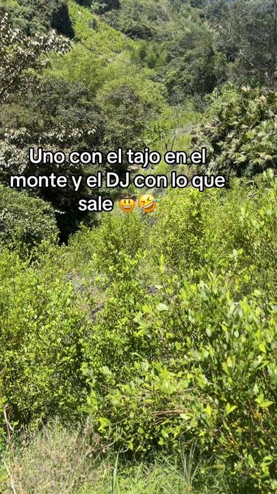 TikTok video thumbnail by shirly11_11