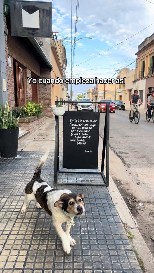 TikTok video thumbnail by angelreynosoo0
