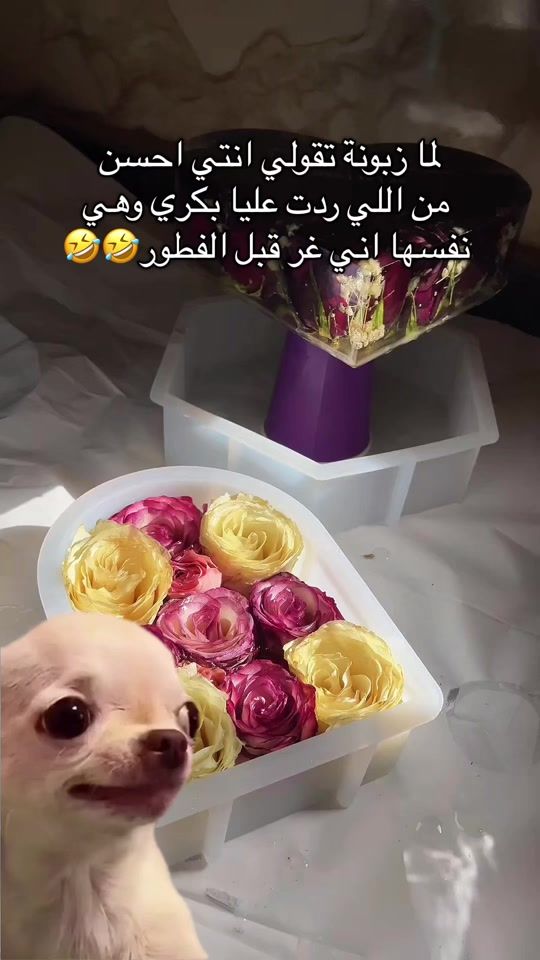 TikTok video thumbnail by kojo.res