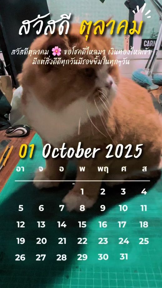 TikTok video thumbnail by m_tungtong