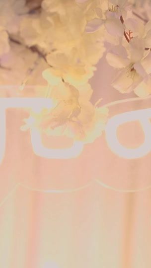 TikTok video thumbnail by josipictures