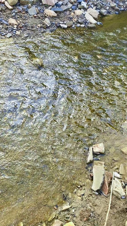 TikTok video thumbnail by scorpionterrestre