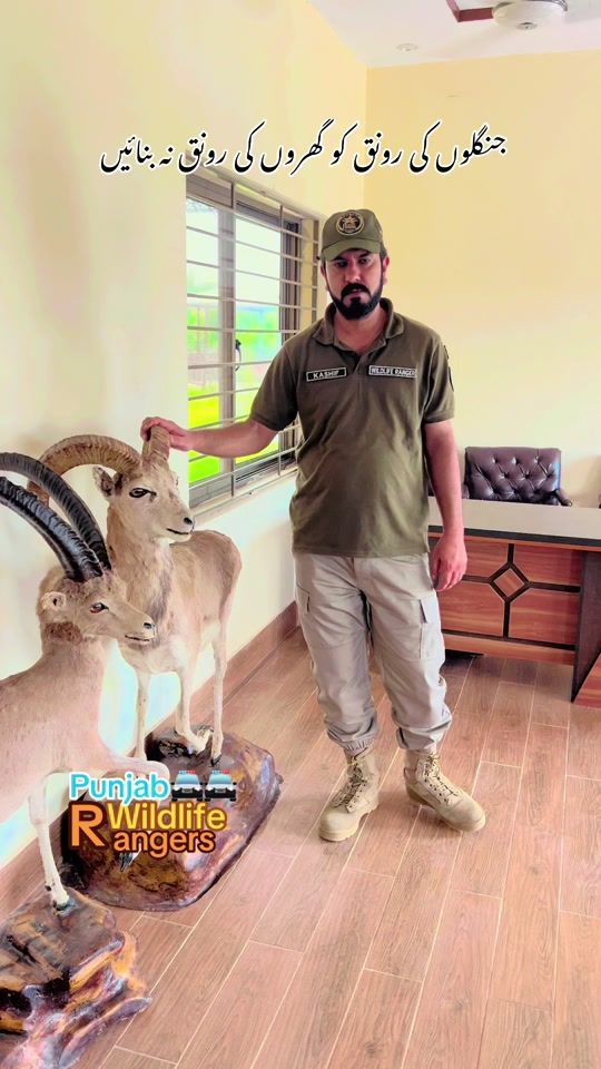 TikTok video thumbnail by kashifraja588