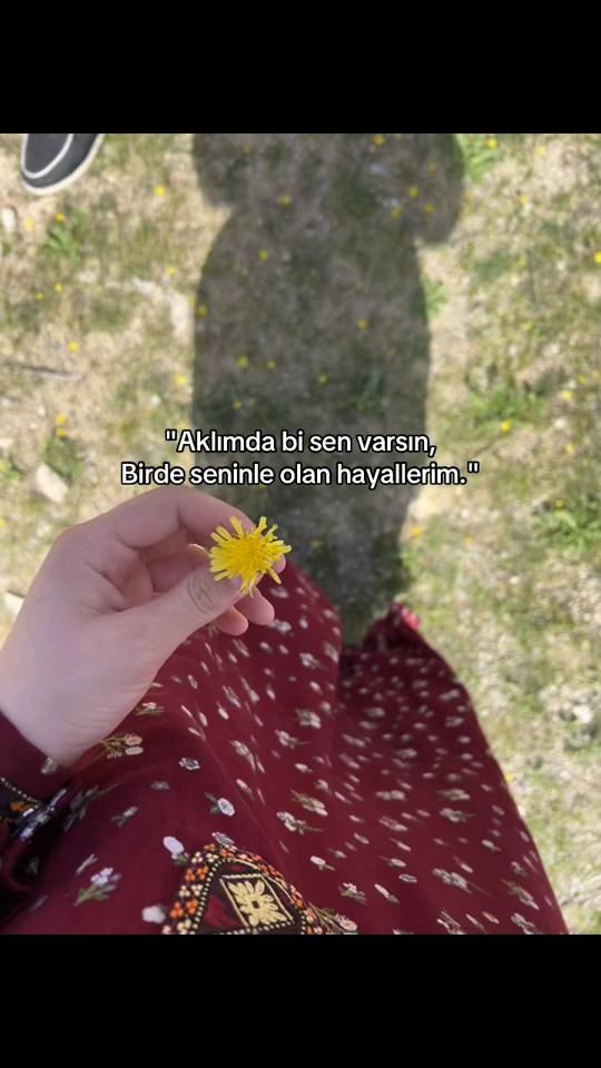 TikTok video thumbnail by medine11..5