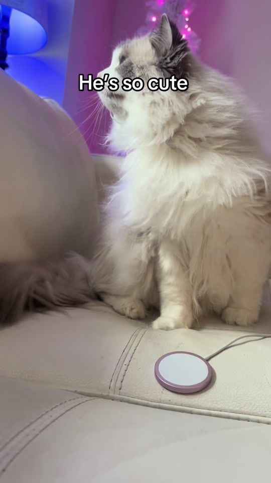 TikTok video thumbnail by kelliemitchellz