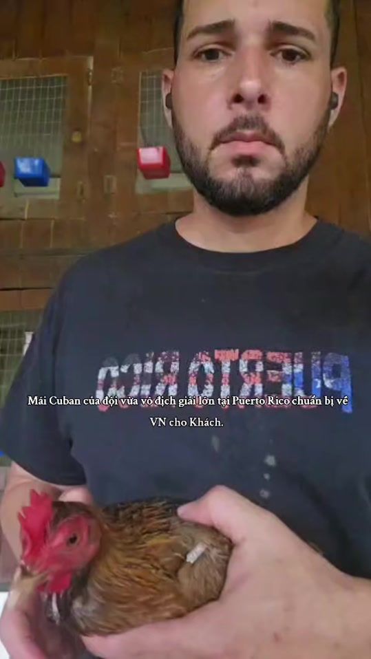 TikTok video thumbnail by mr.kim.sonic