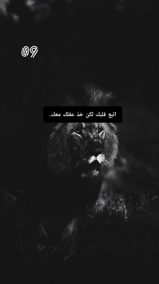 TikTok video thumbnail by user.wb10