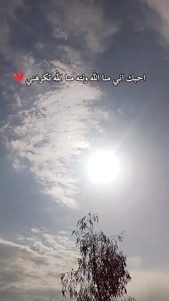 TikTok video thumbnail by a6k__2006