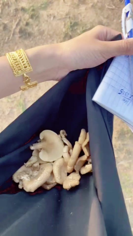 TikTok video thumbnail by faiy_visouda