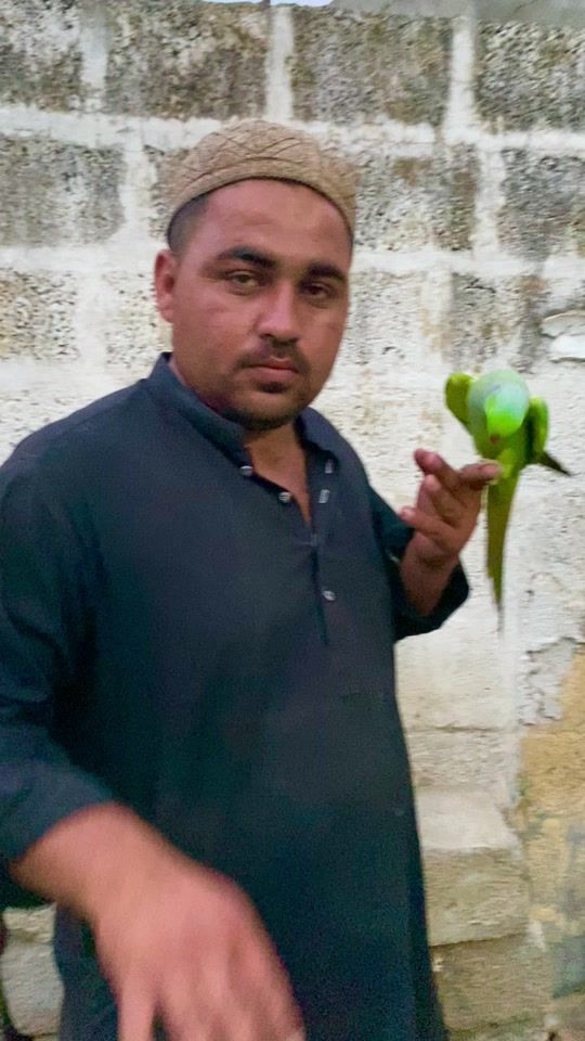 TikTok video thumbnail by waqaskata