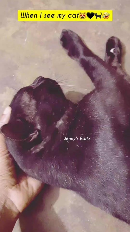 TikTok video thumbnail by g_jenny8