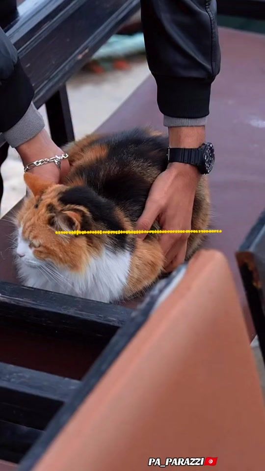TikTok video thumbnail by pa_parazzi2