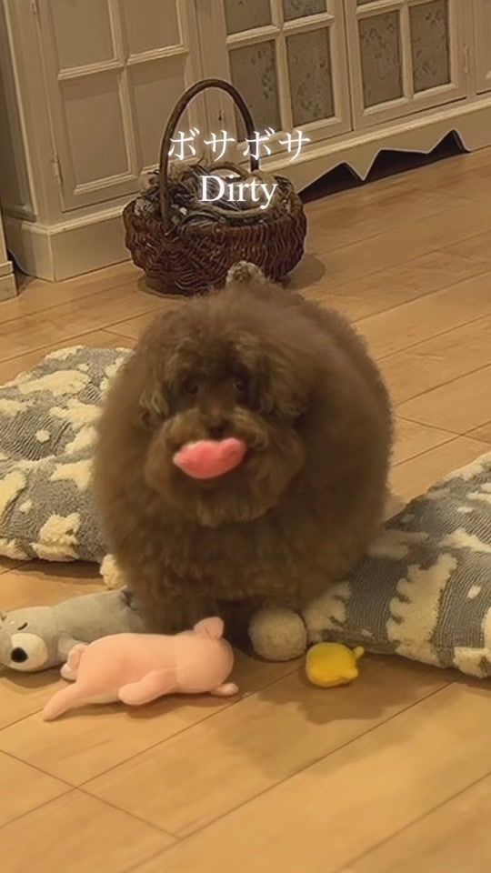TikTok video thumbnail by __mohu_c