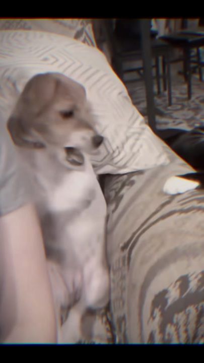 TikTok video thumbnail by idthevibe