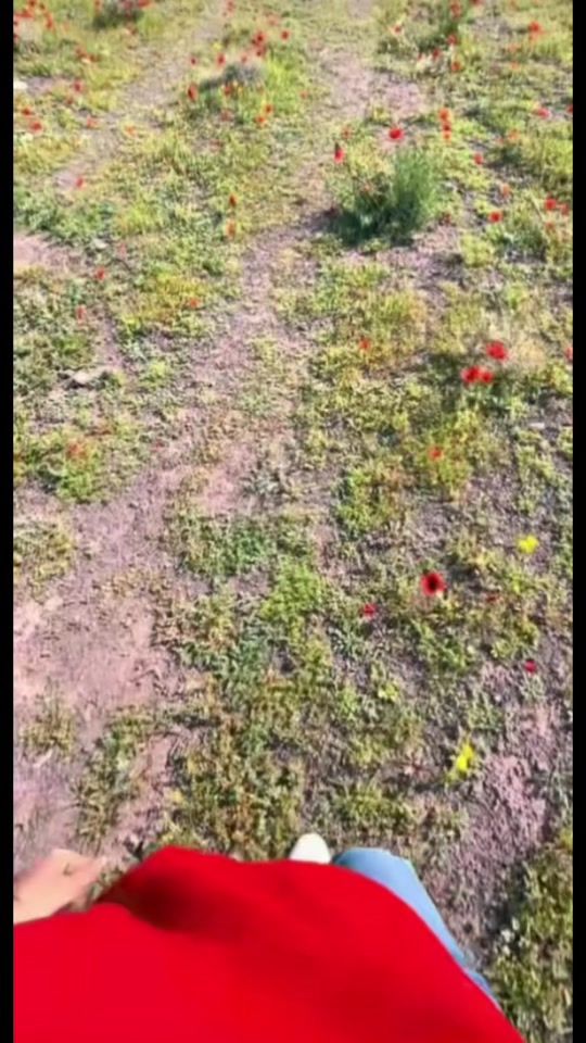 TikTok video thumbnail by nakamsevgi5757
